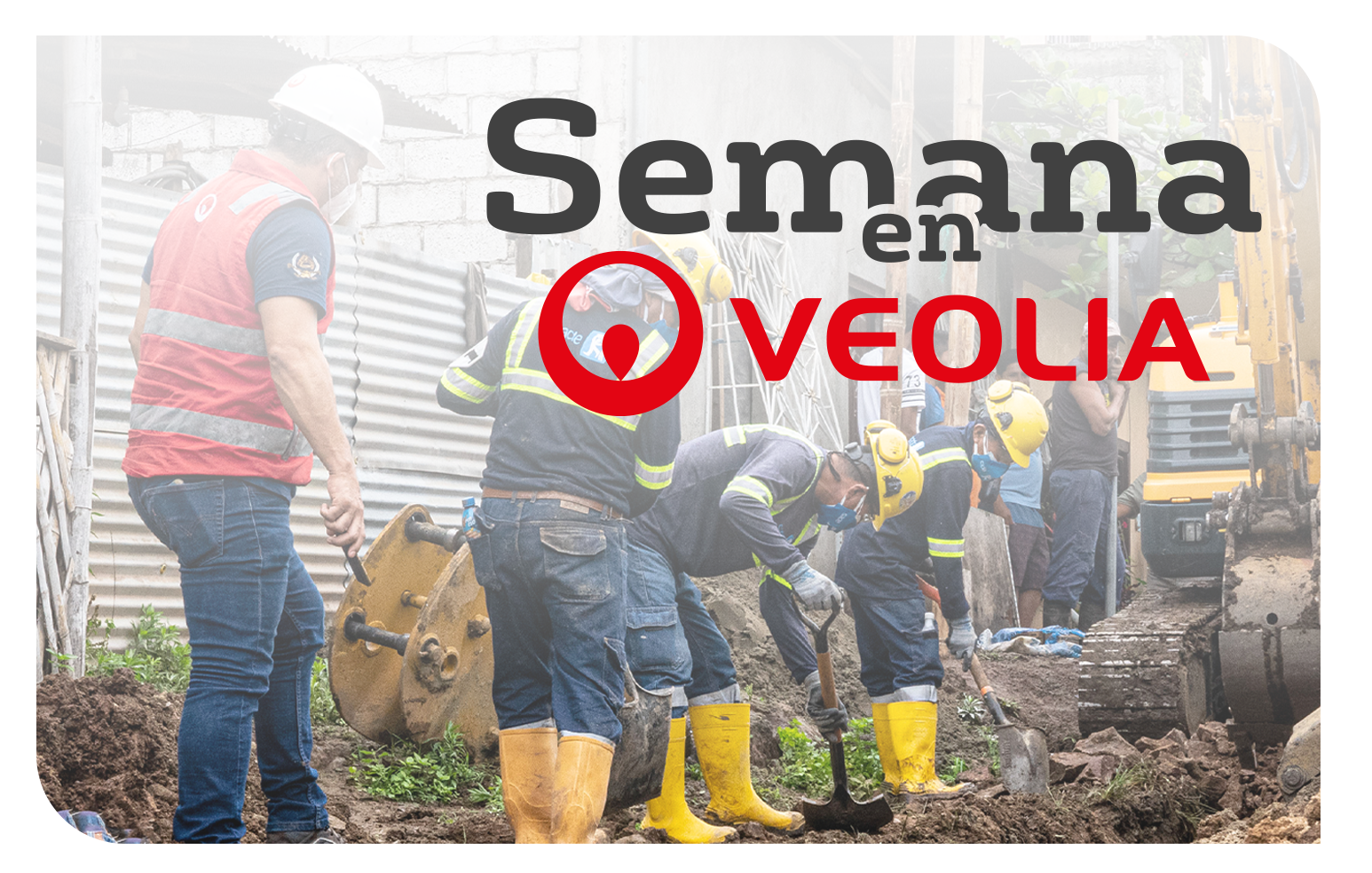 Semana en Veolia: Edición #184