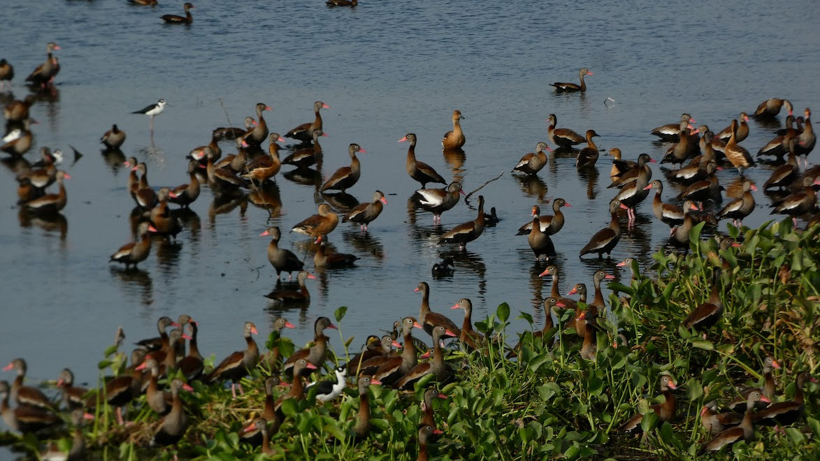 Sostenibilidad - Prueba