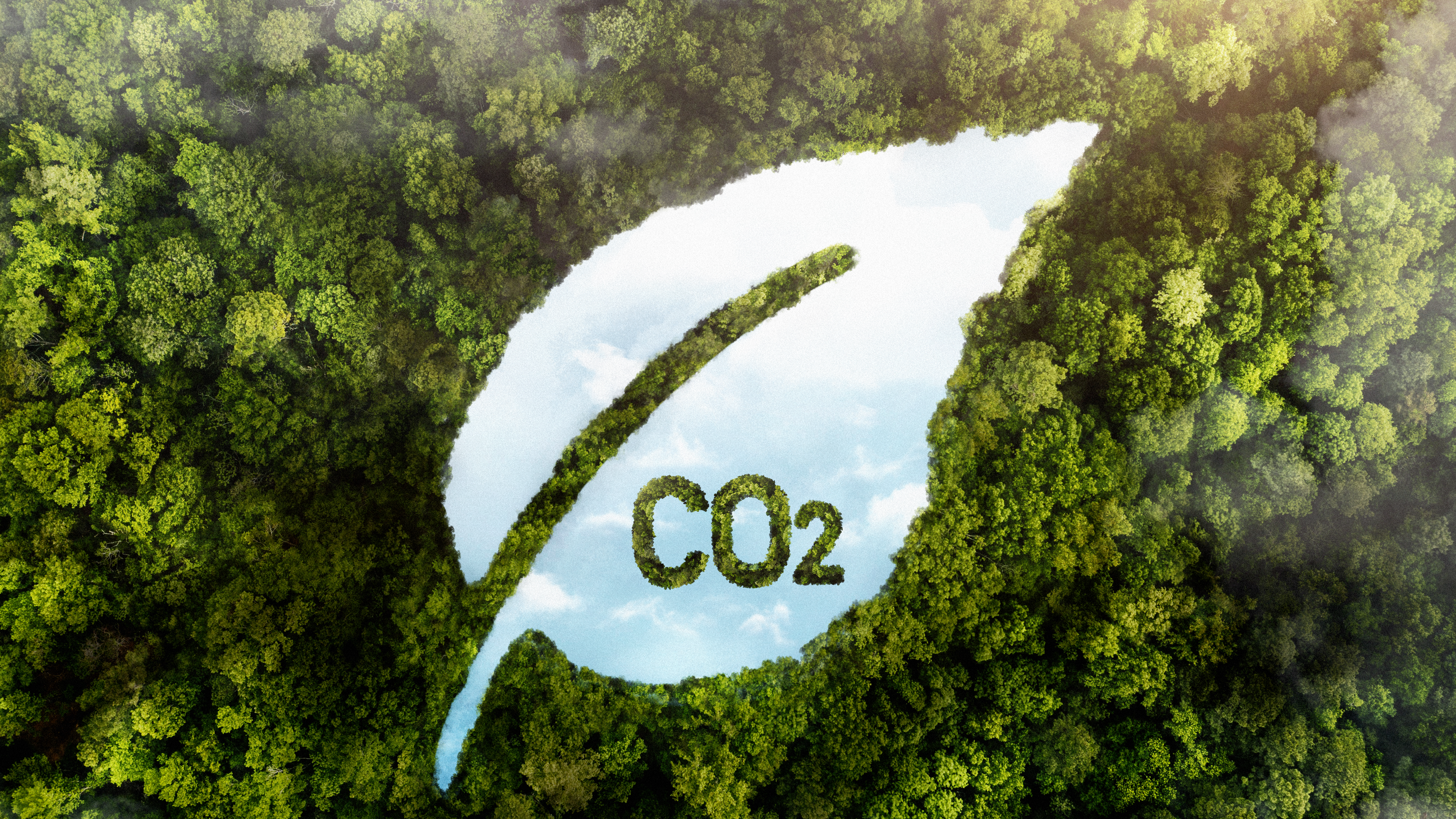 RUTA DE DESCARBONIZACIÓN 